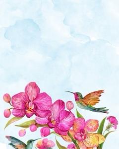 Sylvia Youssef