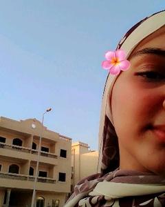 دادا الشيخي