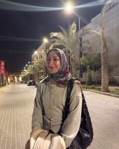 alaa ismail