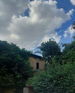 Loujaine amr